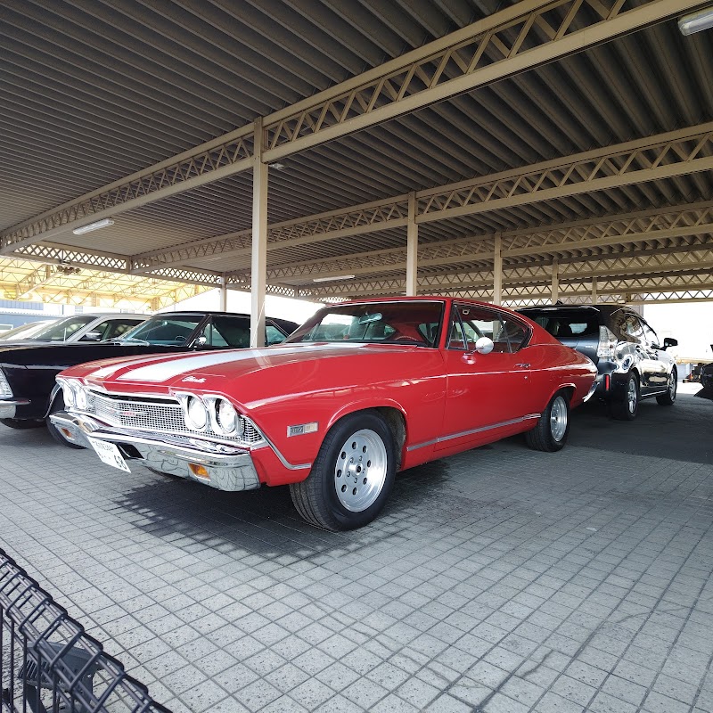 KMG ㈱ケイエムジー - 画像3